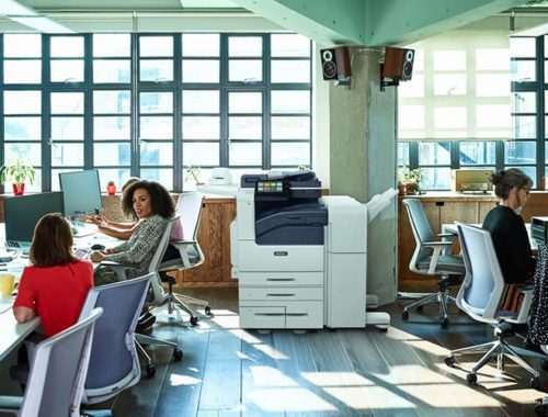 Equipa a trabalhar num espaço aberto com a impressora monocromática da Xerox® Série VersaLink® B7100