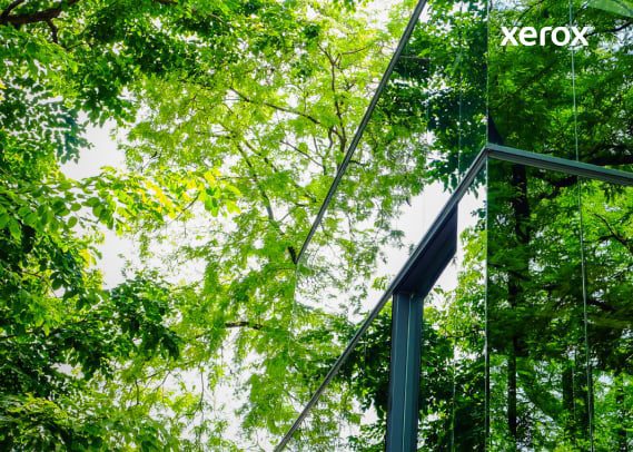 Weerspiegeling van bomen zichtbaar in de glazen gevel van een modern gebouw, wat een harmonieuze mix van natuur en architectuur creëert. Weerspiegeling van bomen zichtbaar in de glazen gevel van een modern gebouw, wat een harmonieuze mix van natuur en architectuur creëert.